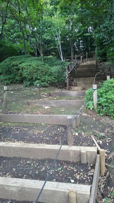 どんぐり公園の階段